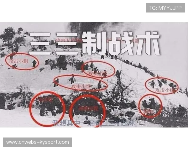 布纳诺特在布莱顿战术体系中的成长路径分析